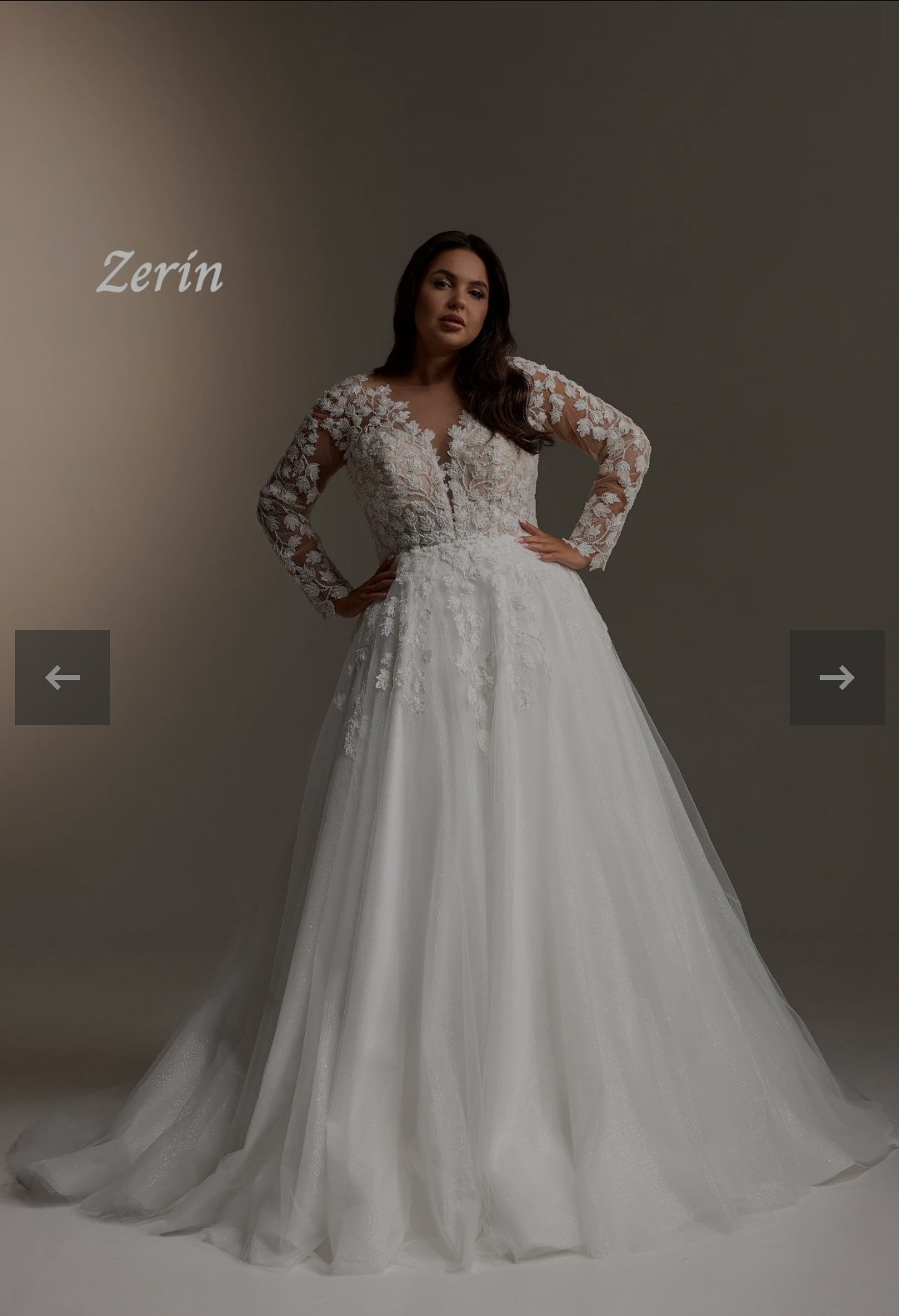  Plus size brudekjole med ærmer og blonder og tyl 